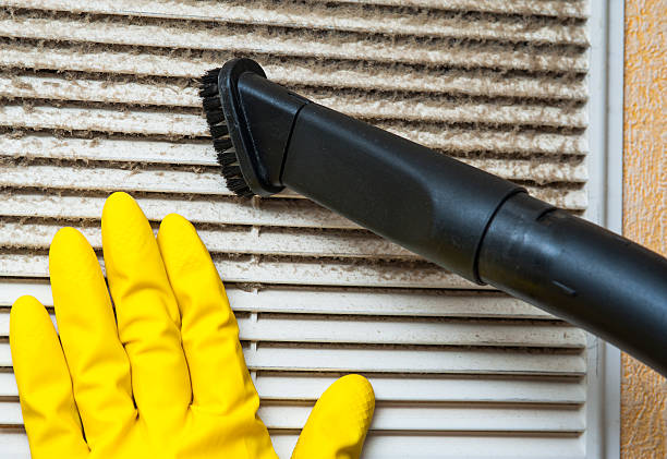 Best Dryer Vent Cleaning Services  in Flora, IL